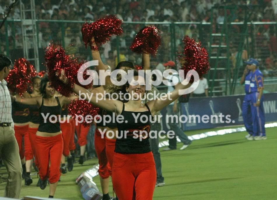 ipl2.jpg