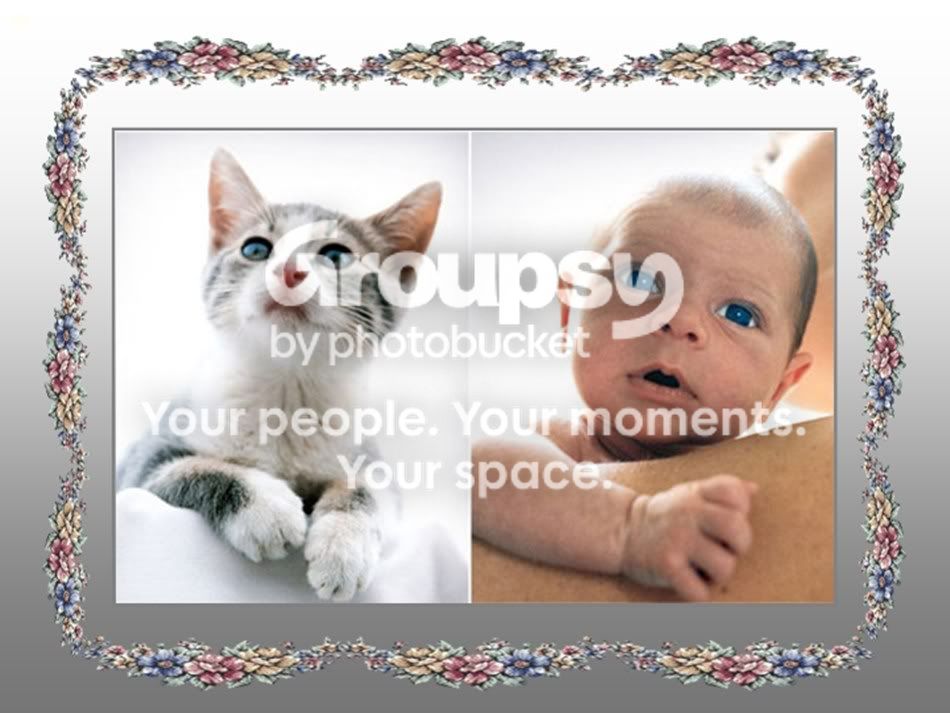 Slide8.jpg