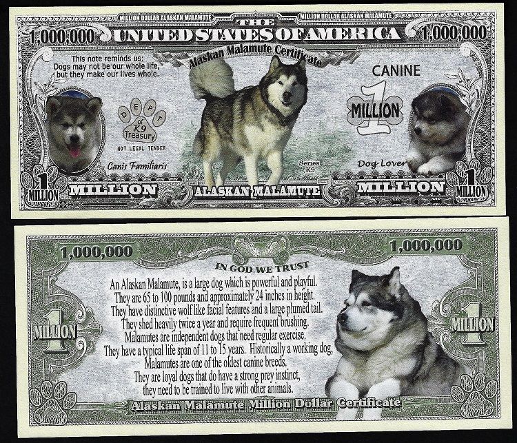 Details About Alaskan Malamute Dog Bill Puppy Adult Pics Facts On Back Lot Of 2 Bills