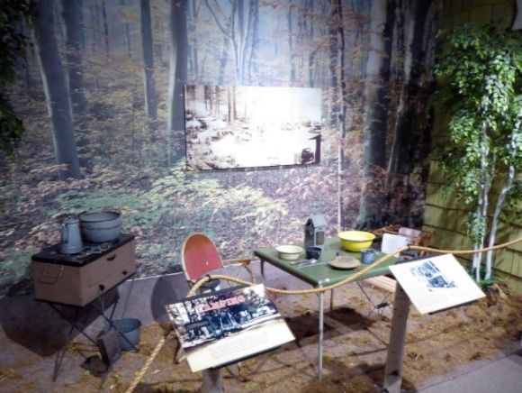  photo P1180158_zpshpjmfjer.jpg