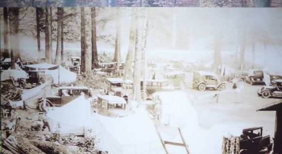  photo P1180162_zps5hvnbrzi.jpg