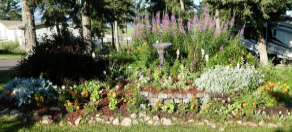  photo P1010364_zps5wqcg3da.jpg