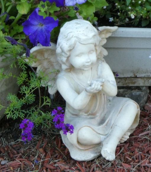  photo P1010371_zps33uexcsj.jpg