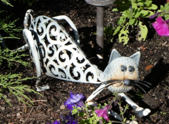  photo P1000970_zps9g6mpbuy.jpg