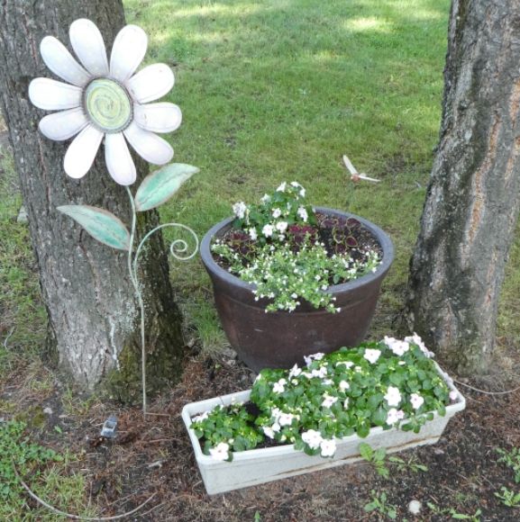  photo P1000973_zps8y3ucjqn.jpg