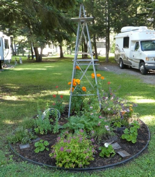  photo P1000974_zpsn1raxisg.jpg