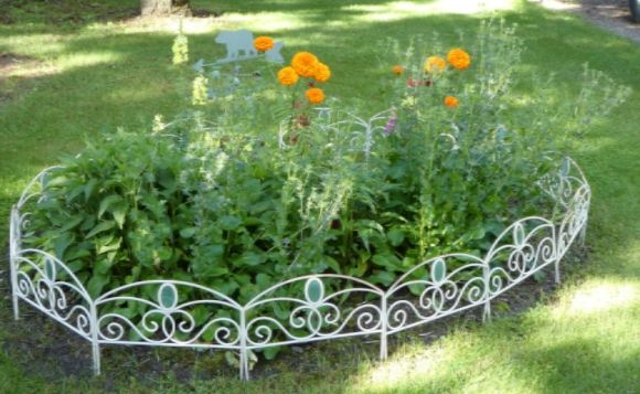  photo P1000975_zpsmgzrdbag.jpg