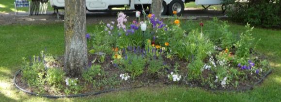  photo P1000976_zpsnu51wons.jpg