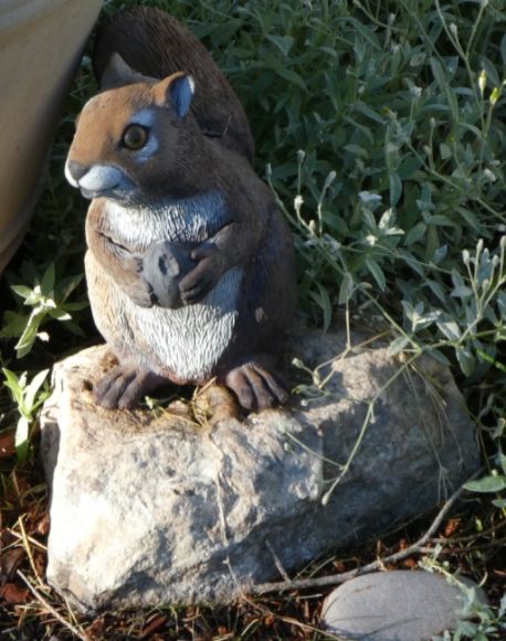  photo P1010366_zpsuywv4izf.jpg