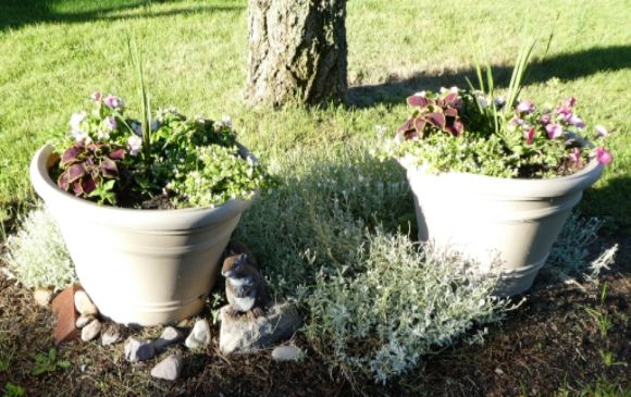  photo P1010367_zpsdm53b8p7.jpg