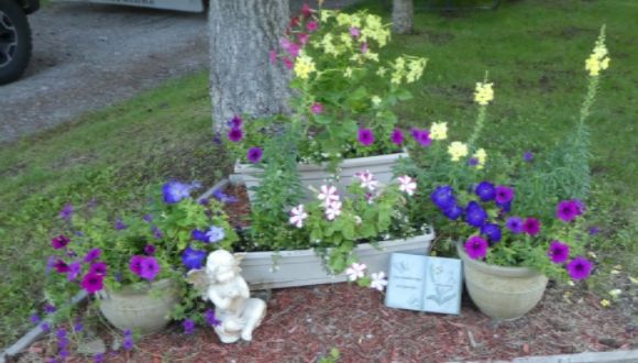  photo P1010370_zpsf7961lud.jpg