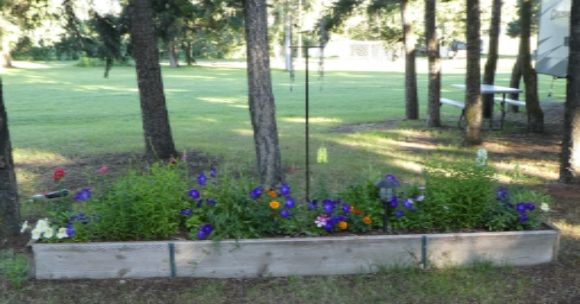  photo P1010387_zpsgen761ml.jpg