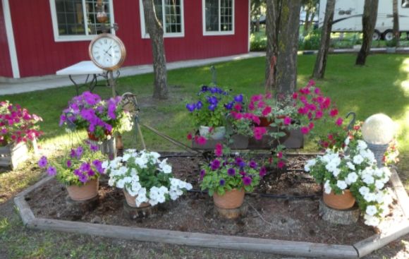  photo P1010388_zpsyltewyay.jpg