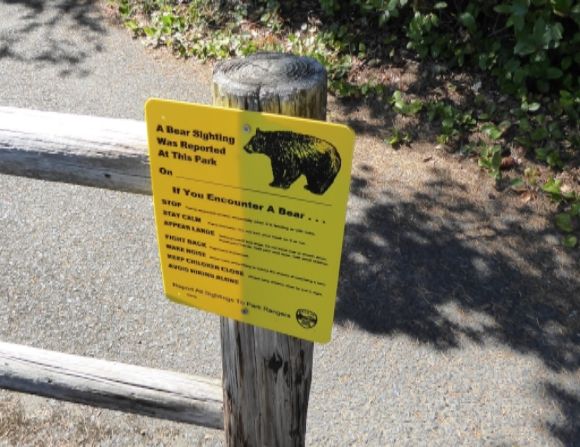  photo P1180280_zpshdui4whw.jpg