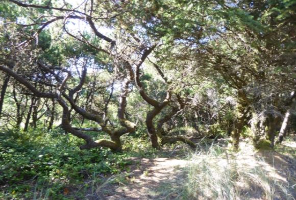  photo P1180299_zpsriblj0kn.jpg