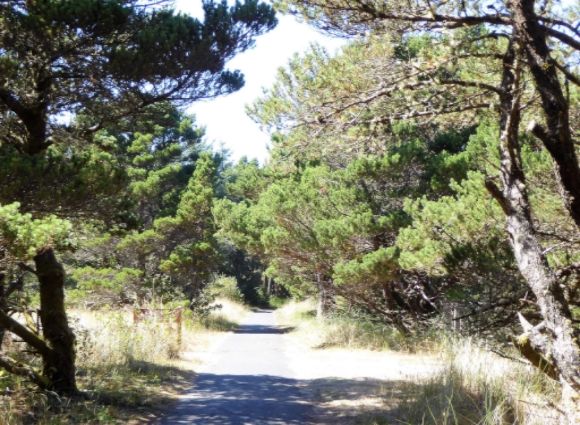  photo P1180329_zpskyvc3zj8.jpg