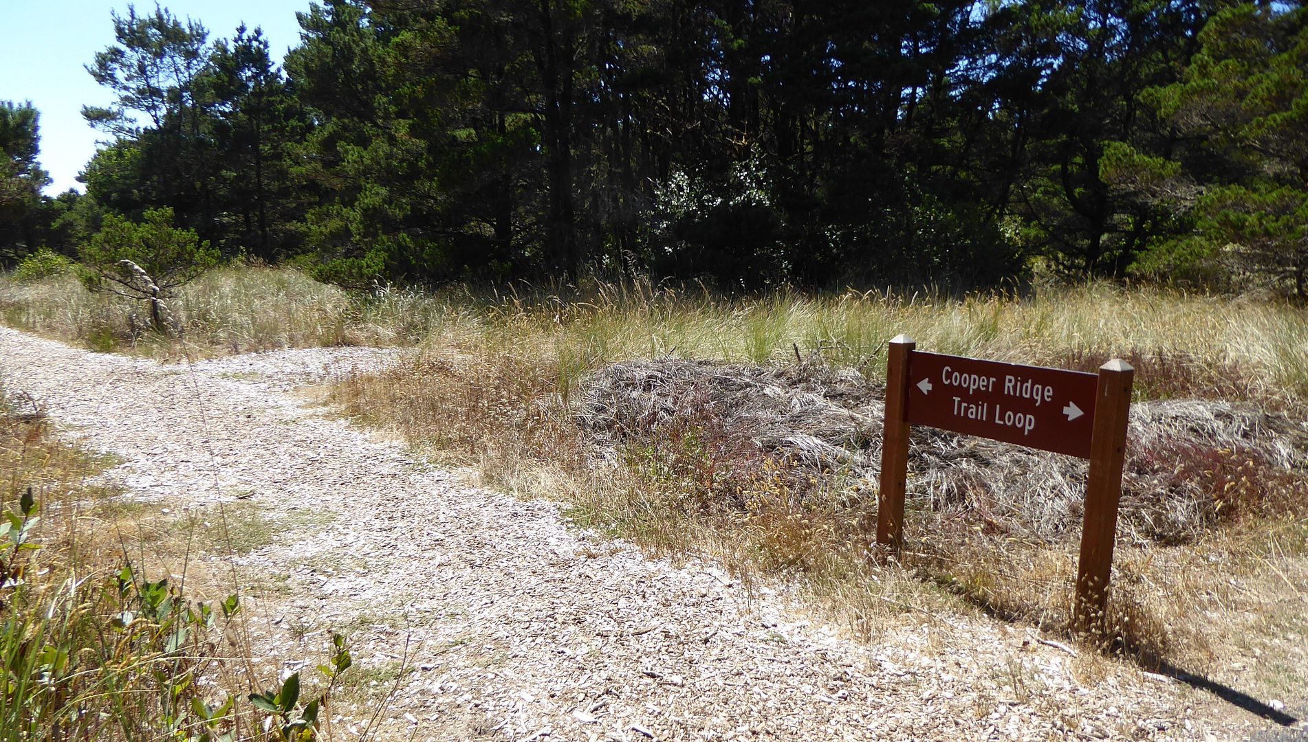  photo P1180330_zpscqgneoxc.jpg