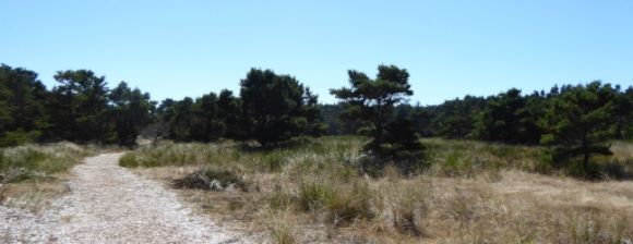  photo P1180331_zpsqh9qmyo1.jpg