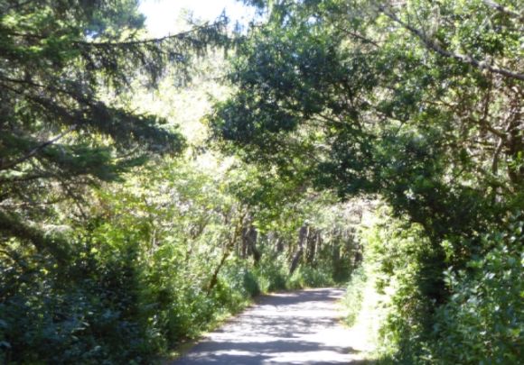  photo P1180332_zps3mbau1jj.jpg