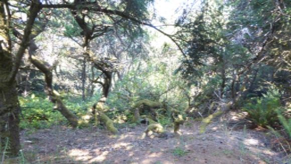  photo P1180381_zpspd2voewh.jpg