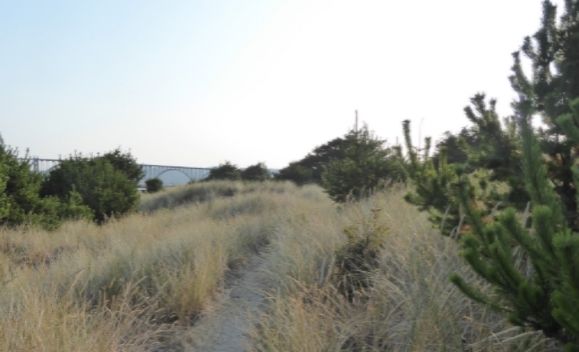  photo P1180527_zpsbzm2mulp.jpg