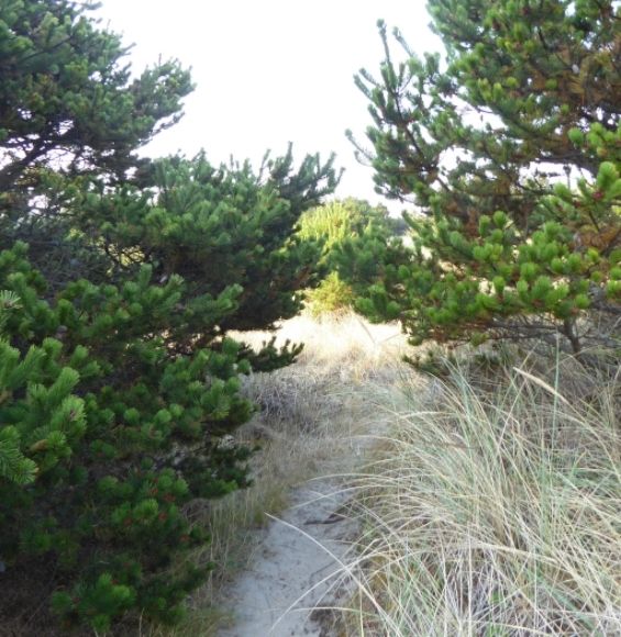  photo P1180528_zpskagx9epp.jpg