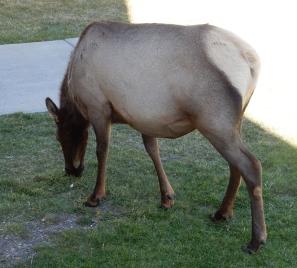  photo DSCN8802_zpst5feur1o.jpg