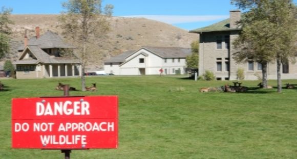  photo DSCN8806_zps5ll7wjvf.jpg