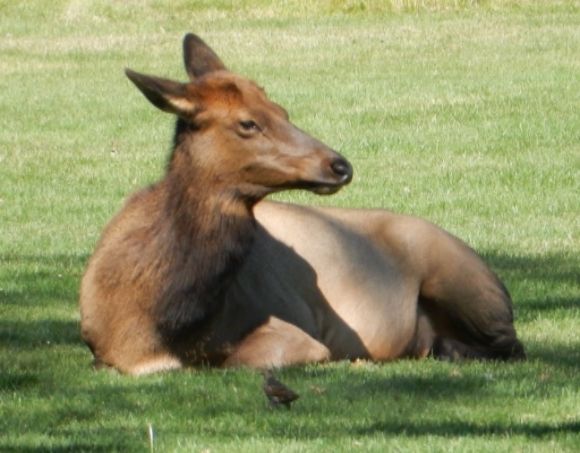  photo DSCN8807_zpsg7gax8eh.jpg