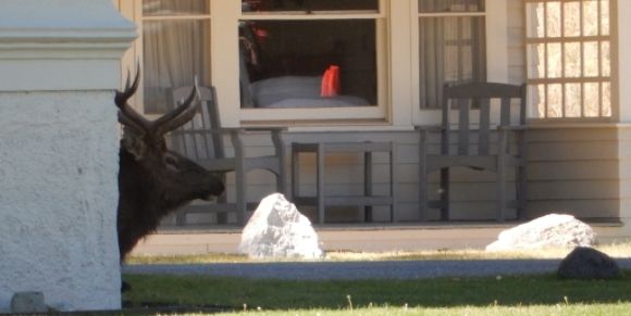  photo DSCN8813_zpsvg2anocm.jpg