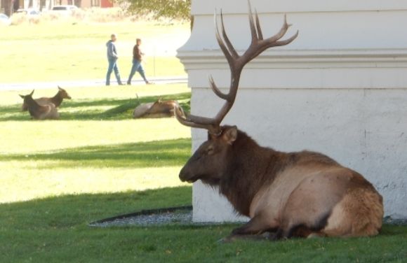  photo DSCN8824_zps3jslbg6h.jpg