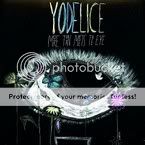yodelice-copie-1.jpg